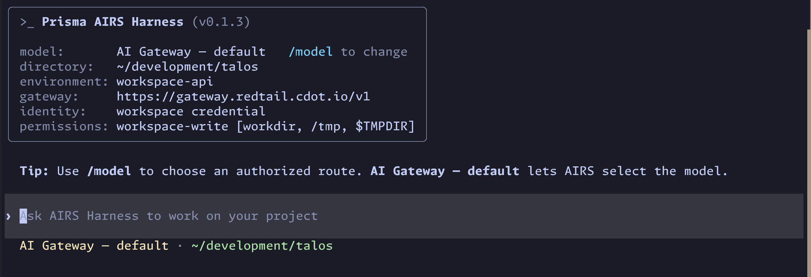 The AIRS session header listing model, directory, environment, gateway, identity and permissions, above an empty prompt.