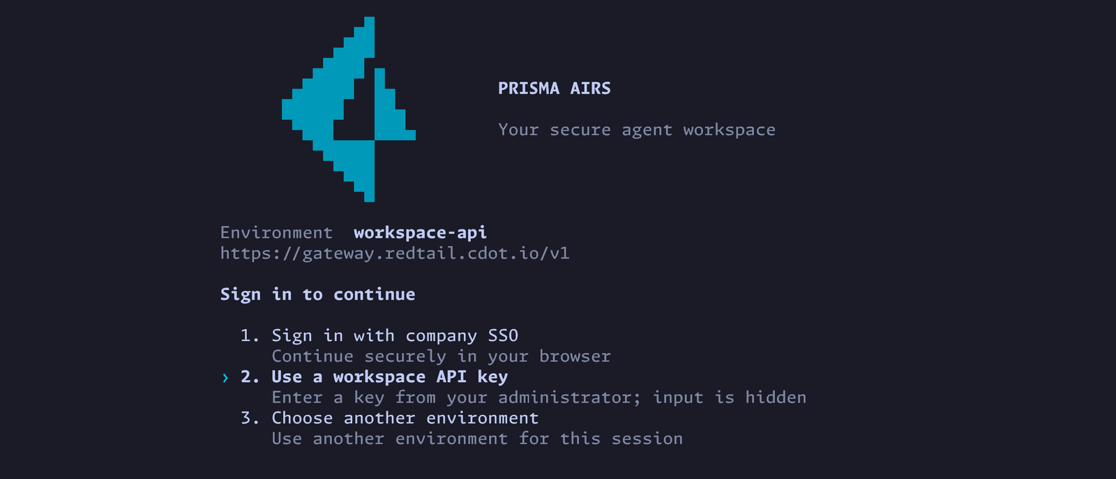 The Sign in to continue screen, with Use a workspace API key selected.